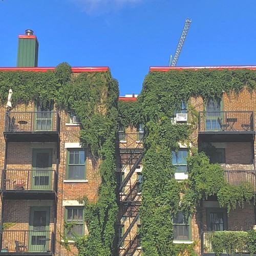 Building II