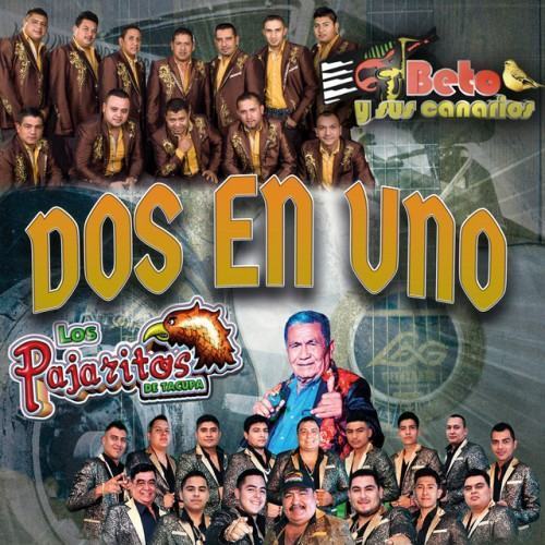 Dos en Uno