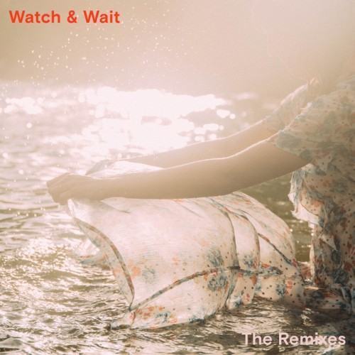 Watch & Wait (The Remixes)