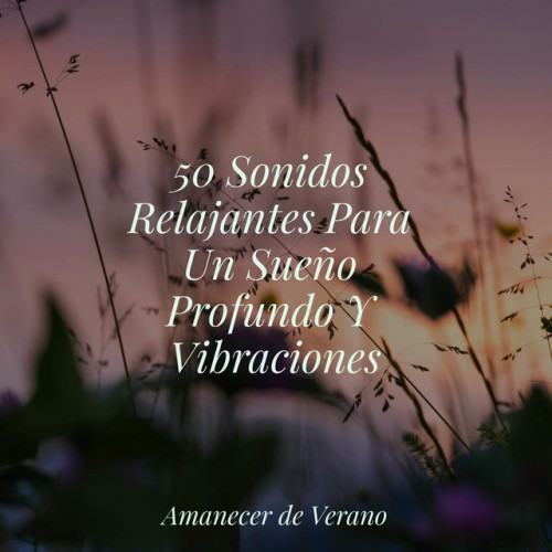 50 Sonidos Relajantes Para Un Sueño Profundo Y Vibraciones