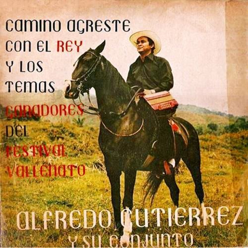 Camino agreste
