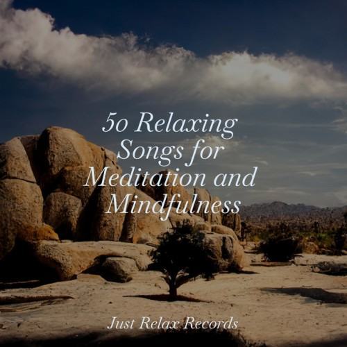 50 Relaxing Songs for Meditation and Mindfulness
