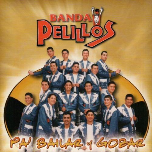 Pa Bailar y Gozar