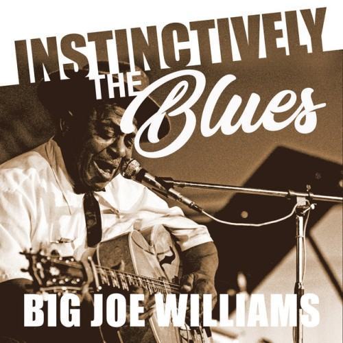 Instinctively the Blues - Big Joe Williams