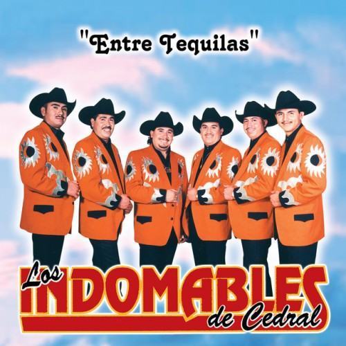 Entre Tequilas