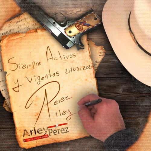 Siempre Activos Y Vigentes
