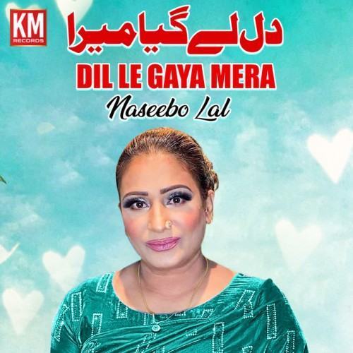 Dil Le Gaya Mera