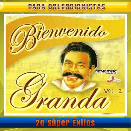 20 Súper Éxitos, Volumen 2