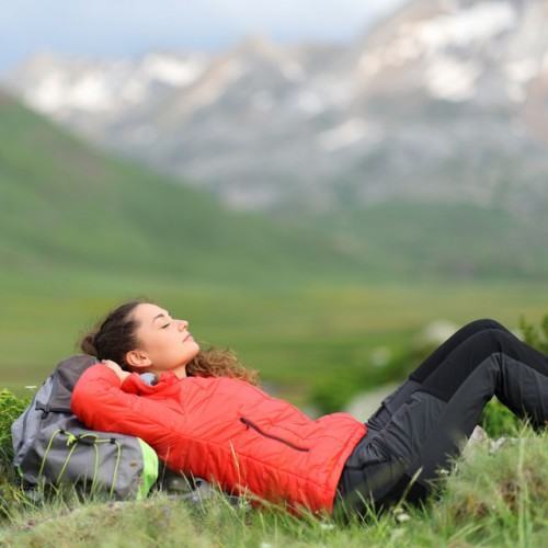 Nature Harmony at Rest: Bird Relaxation for Peaceful Moments