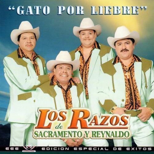 Gato Por Liebre