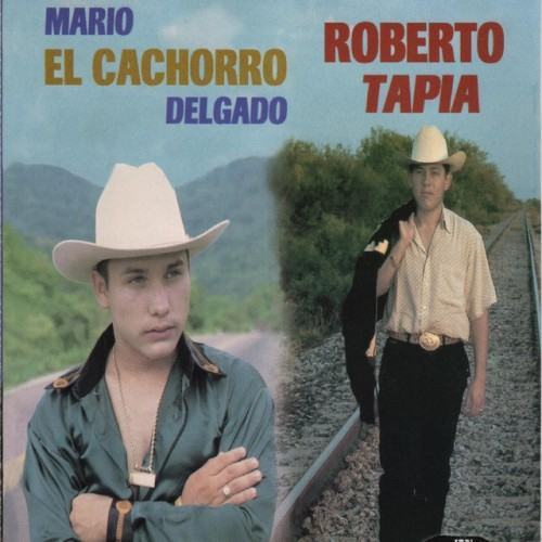 Simplemente Voz a Voz