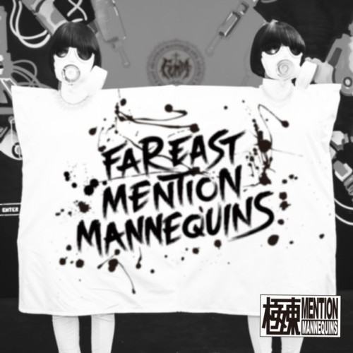 Femm-isation