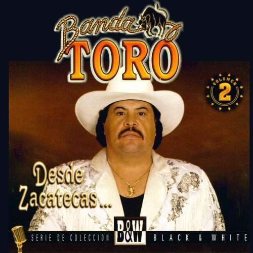Desde Zacatecas, Vol. 2