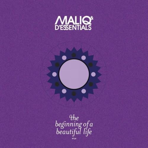 The Beginning Of A Beautiful Life