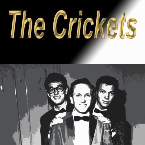 The Crickets