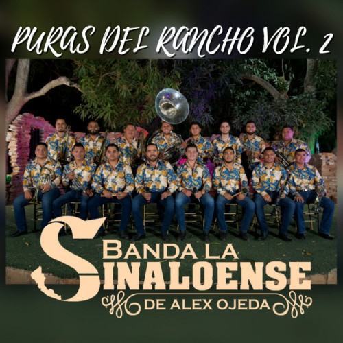Puras del Rancho vol. 2 (En Vivo)