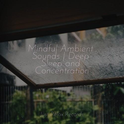 Mindful Ambient Sounds | Deep Sleep and Concentration