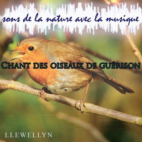 Chant des oiseaux de guérison: sons de la nature avec la musique