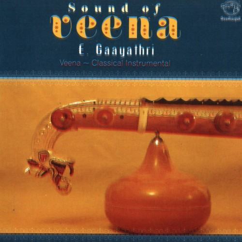 Sound Of Veena