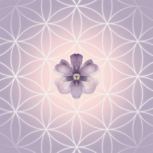 Flowers of Life