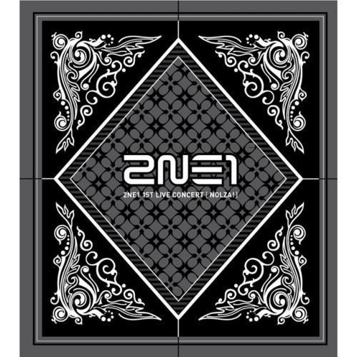 2NE1 1st LIVE CONCERT [NOLZA!]