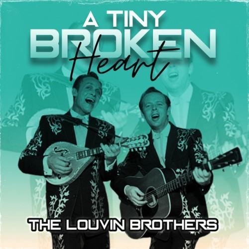 A Tiny Broken Heart