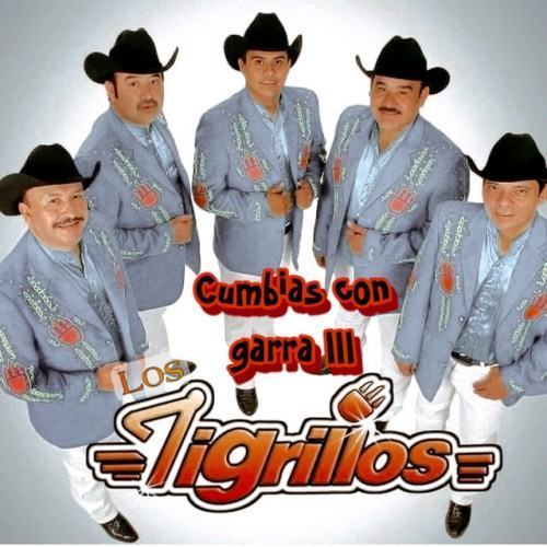 Cumbias Con Garra III