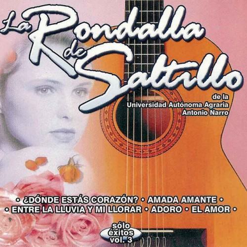 Sólo Éxitos, Vol. 3