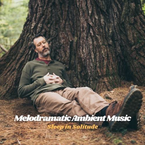 Melodramatic Ambient Music: Sleep in Solitude