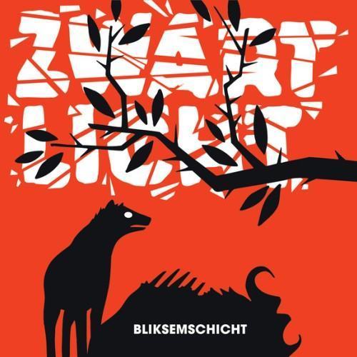 Bliksemschicht