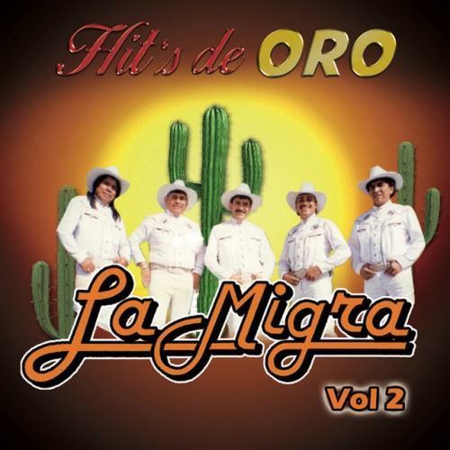 Hit's De Oro Vol. 2