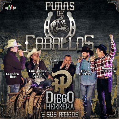 Diego Herrera y Sus Amigos - Puras de Caballos