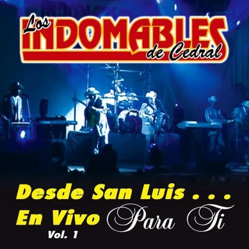 Desde San Luis... En Vivo para Ti, Vol. 1