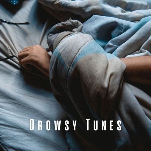 Drowsy Tunes: Ambient Music for Gentle Sleep