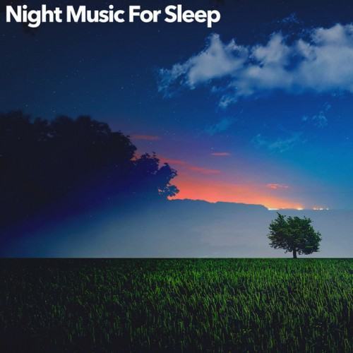 Night Music For Sleep