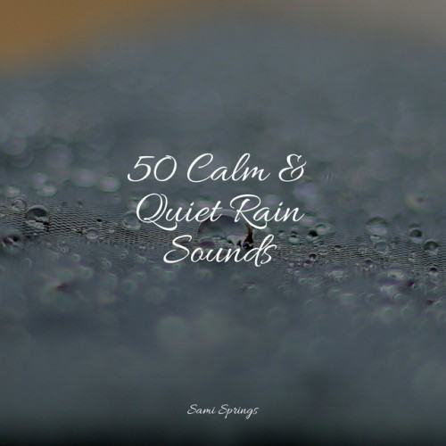 50 Calm & Quiet Rain Sounds