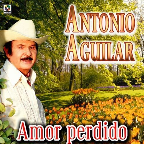 Amor Perdido