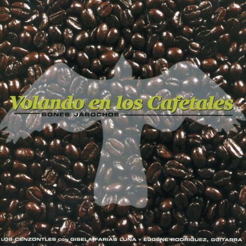 Volando En Los Cafetales
