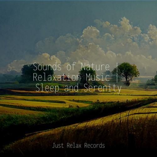 Sounds of Nature | Relaxation Music | Sleep and Serenity