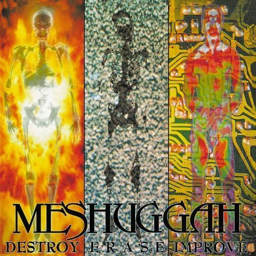 Destroy Erase Improve (Japan Edition)