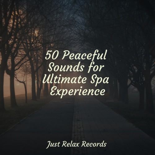 50 Peaceful Sounds for Ultimate Spa Experience
