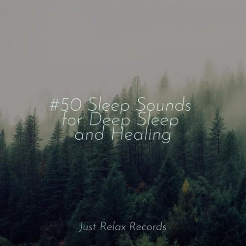 #50 Sleep Sounds for Deep Sleep and Healing
