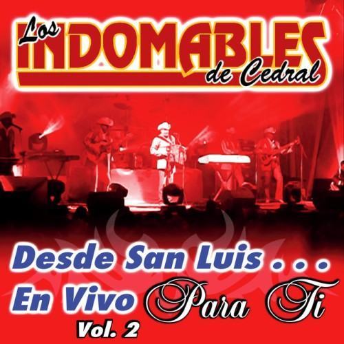 Desde San Luis... En Vivo para Ti, Vol. 2