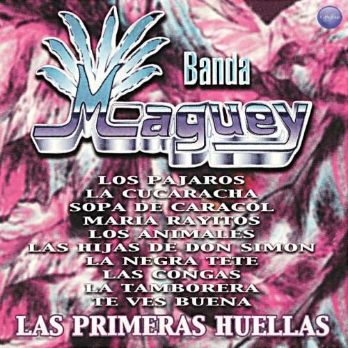 La Primeras Huellas