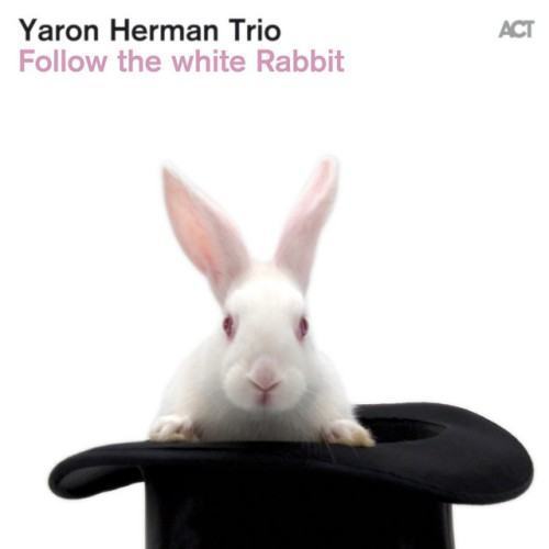 Follow the White Rabbit