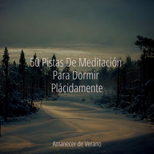 50 Pistas De Meditación Para Dormir Plácidamente