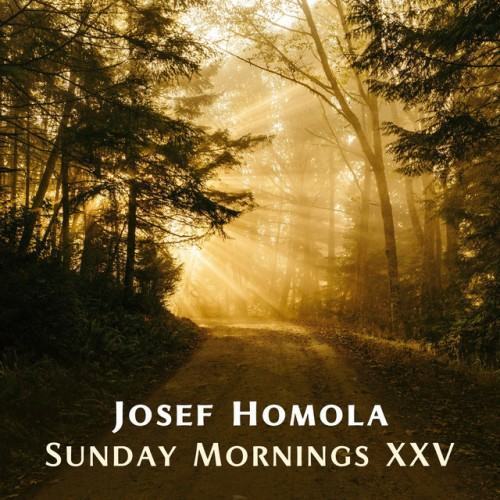 Sunday Mornings XXV