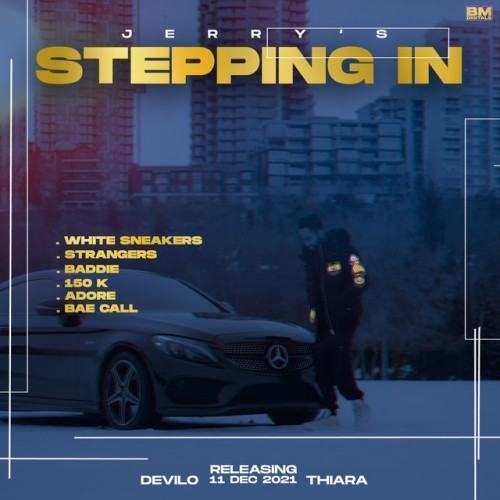 STEPPING IN