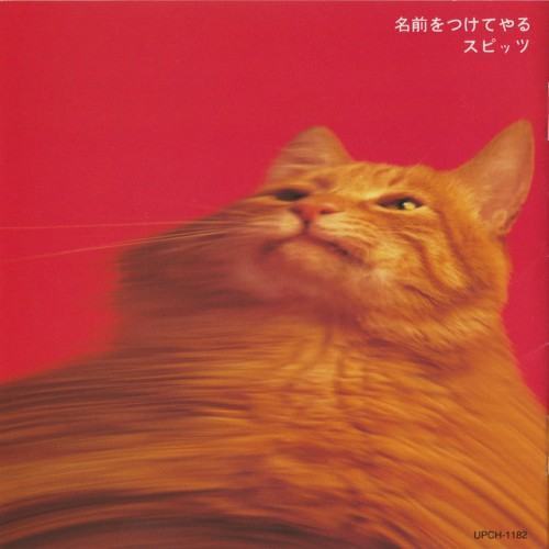 名前をつけてやる