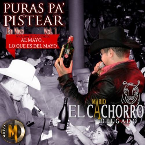 Puras Pa' Pistear, Vol. 1 (En Vivo)